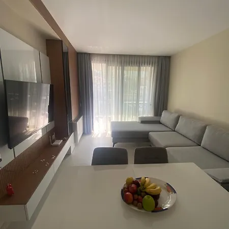 Apartament Elegant Flat X3 W Parking!